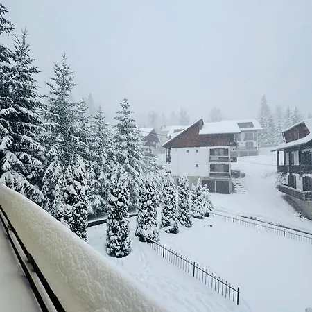 Gloria * Poiana Brasov